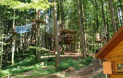 Hotel Pension Beck Bad Waldsee Familie Böttcher Kletterpark Tannenbühl